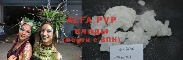 прущие грибы Абаза