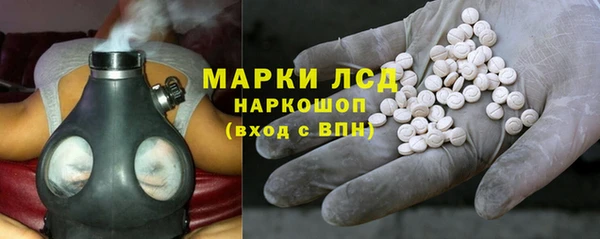 прущие грибы Абаза