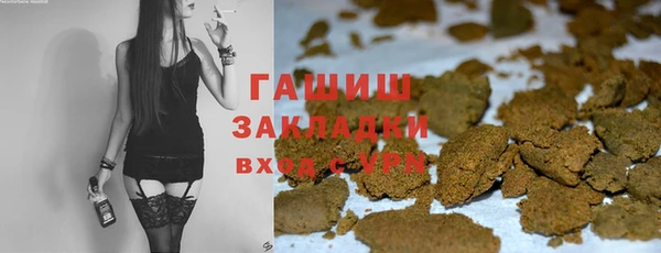 прущие грибы Абаза