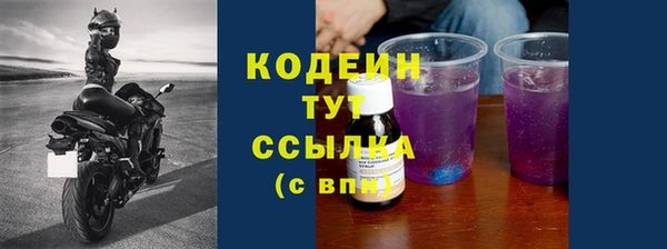 прущие грибы Абаза