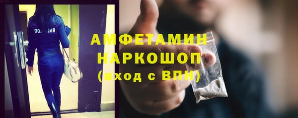 прущие грибы Абаза