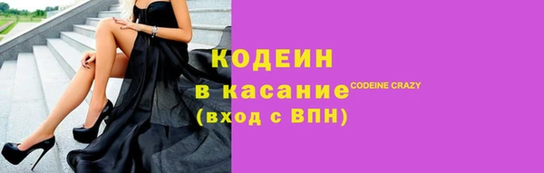 прущие грибы Абаза