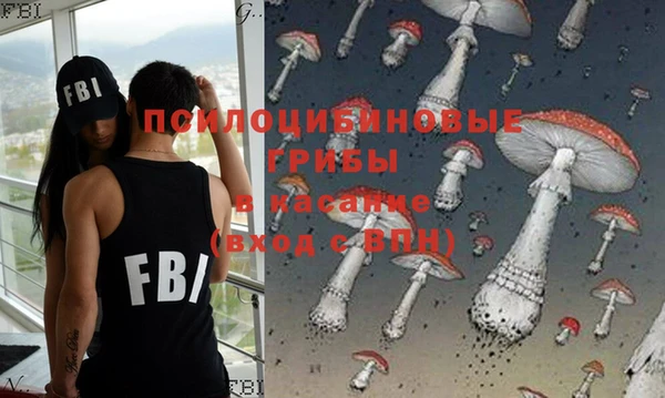 прущие грибы Абаза