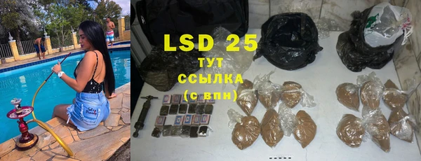 прущие грибы Абаза