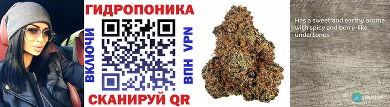 Конопля THC 21% Бежецк