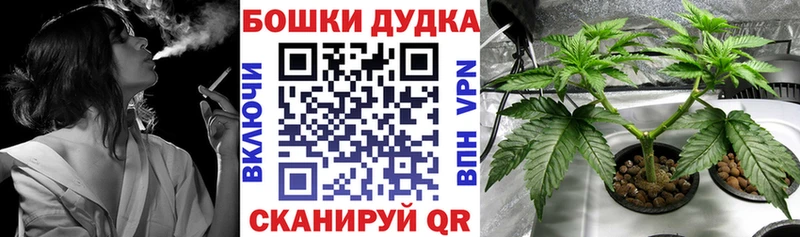 Бошки Шишки конопля где купить Бежецк